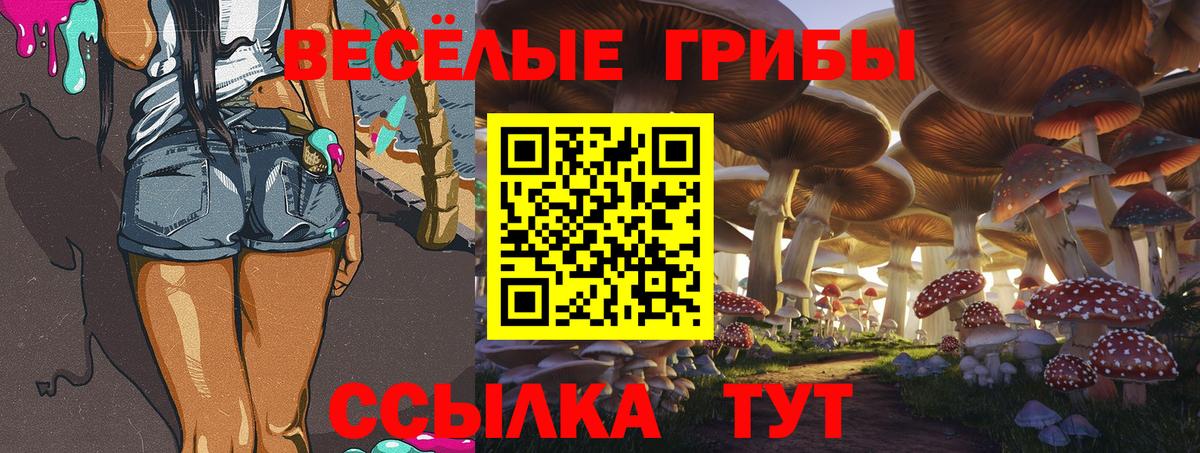 Псилоцибиновые грибы Cubensis Вологда